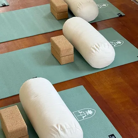 The Almanage Venkovský dům Clogheen